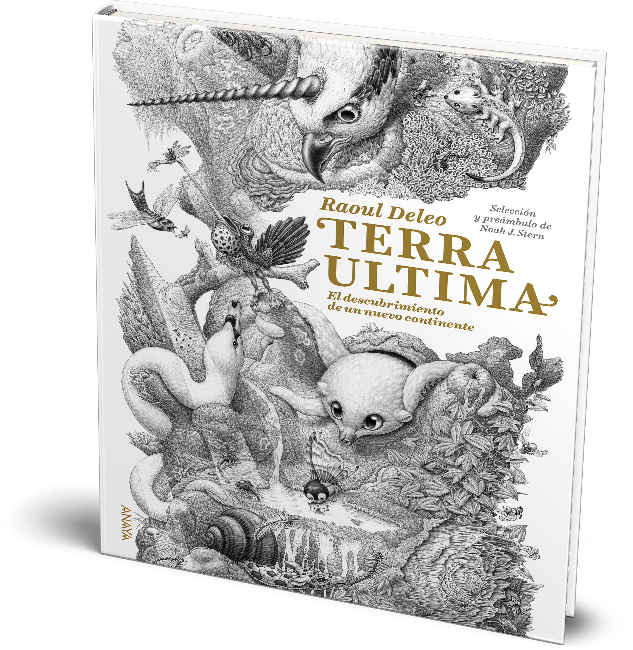 Terra Ultima, el nuevo continente