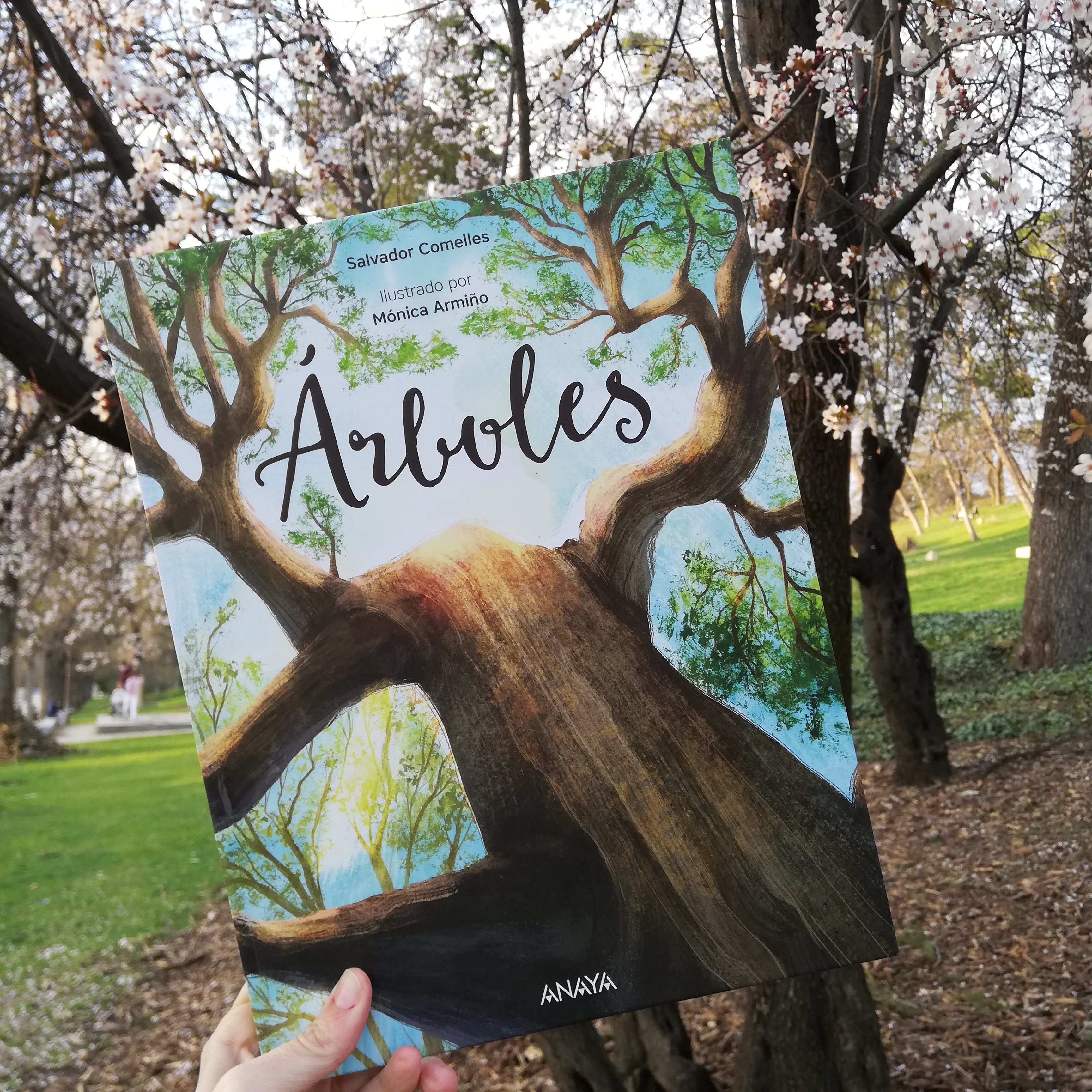 Árboles