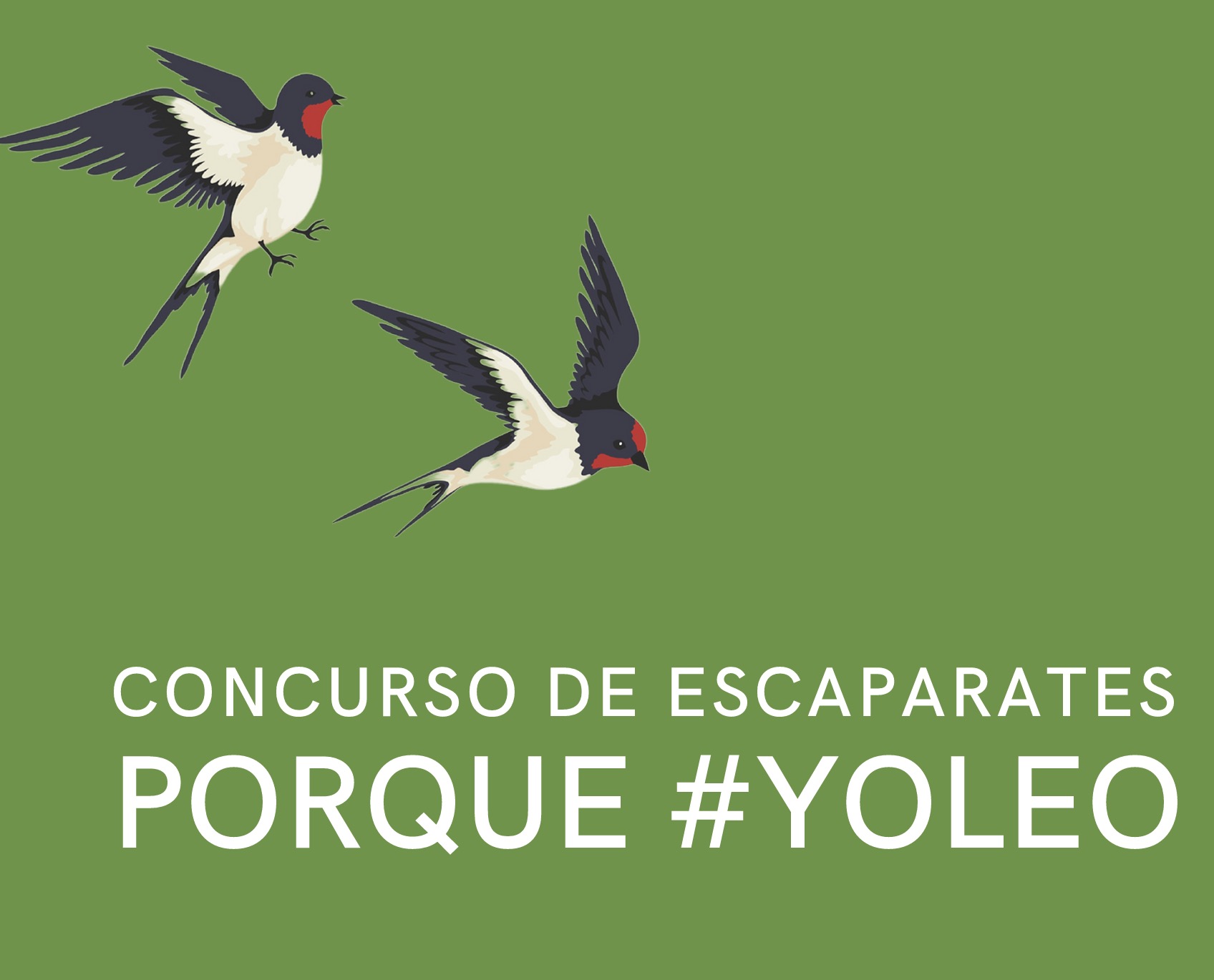 Nueva edición del concurso de escaparates Porque #YOLEO