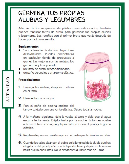 Germina tus propias legumbres
