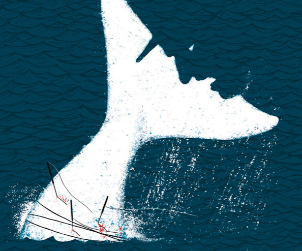 La fría recepción de Moby Dick y su ascenso a clásico universal