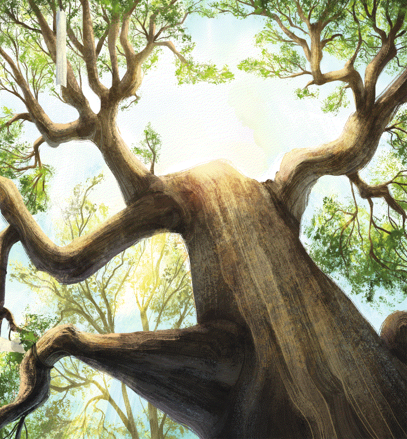 Libros que hablan de la naturaleza